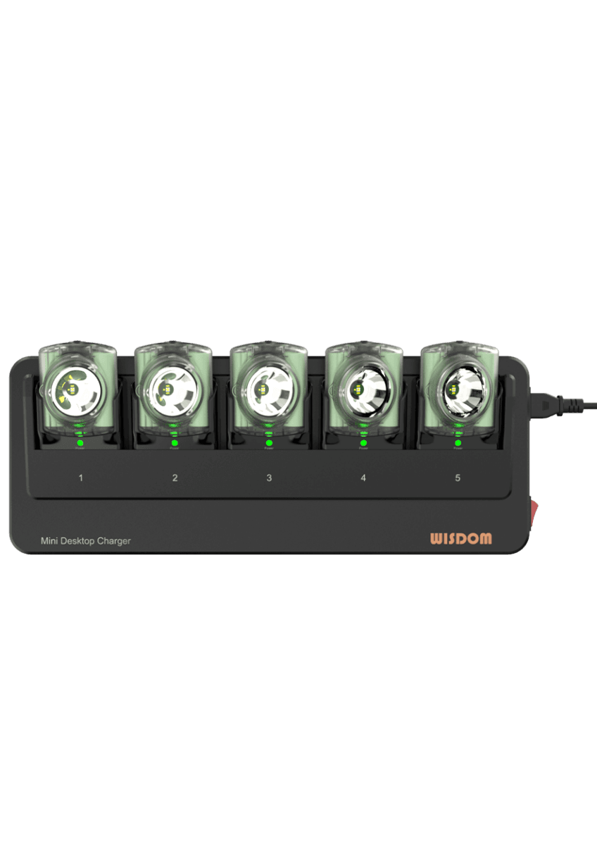 Cargador múltiple NWCR-5B