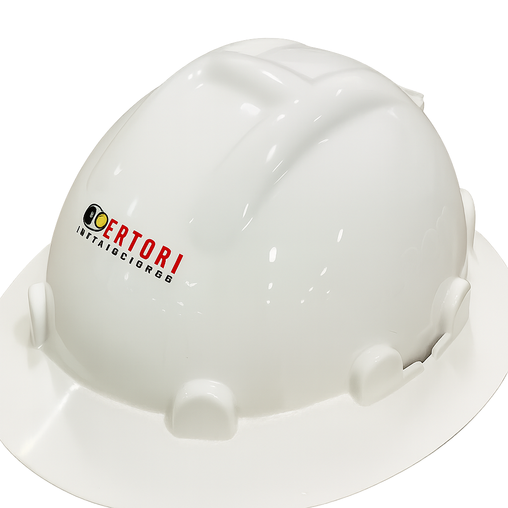 Casco de Seguridad WISDOM