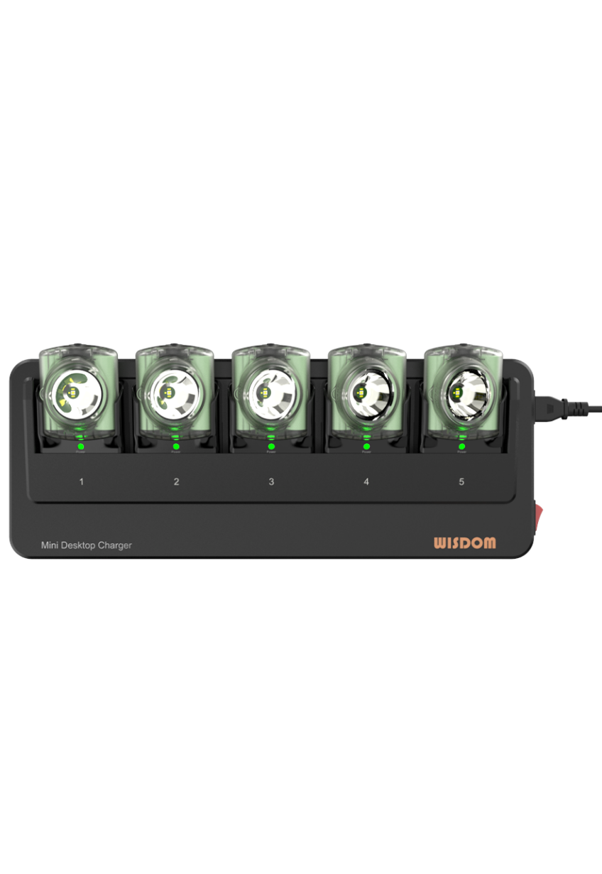 Cargador múltiple NWCR-5B